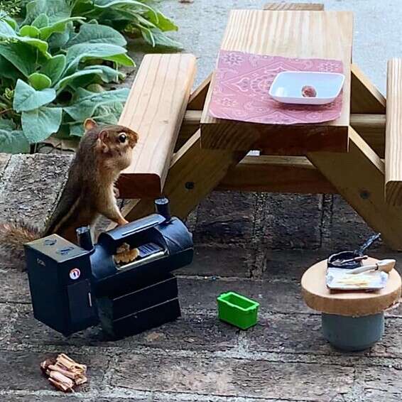 אגוזים מעושנים במיני מעשנת // צילום: מתוך הפייסבוק של אנג'לה הנסברגר